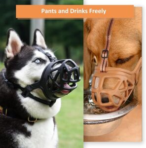 Basket Muzzle - Image 6