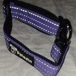 Paladin Leash & Collar - Image 2