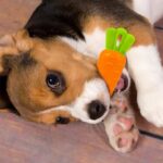 Carrot Toy - Image 5