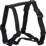 Classic Dog H-Harness & Leash (L)