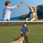 Rope Dog Toy - Image 3