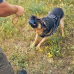 Rope Dog Toy - Image 5