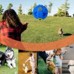 Interactive Dog Ball Toy - Image 7