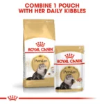 Persian Royal Canin Adult Cat Food - Image 4