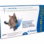 Revolution cat amp