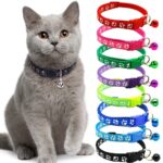 Footprint Collar