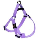 Nunbell Leash (L) - Image 6
