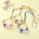 Cherry Dog Harness With Leash