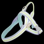 Leash with Handle and Silicone Collar - Image 2
