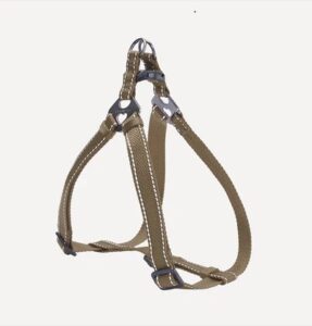 Classic Dog H-Harness & Leash (M) - Image 4