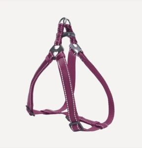 Classic Dog H-Harness & Leash (M)