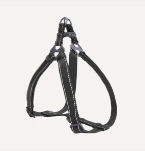 Classic Dog H-Harness & Leash (M) - Image 2