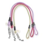 Spring Leash (2 sizes )