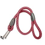 Spring Leash (2 sizes ) - Image 4