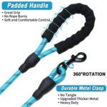 Double Dog Leash - Image 3