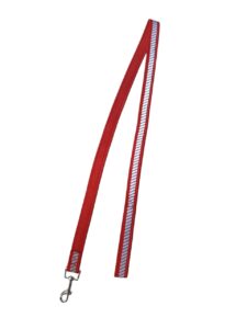 Reflective Harness Leash Set - Image 9