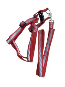 Reflective Harness Leash Set - Image 8