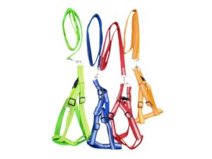Reflective Harness Leash Set