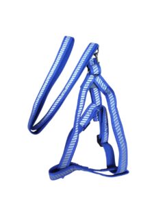 Reflective Harness Leash Set - Image 11