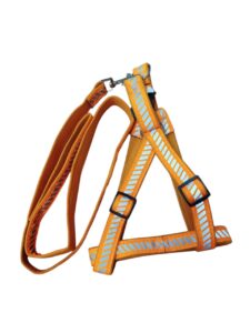 Reflective Harness Leash Set - Image 2