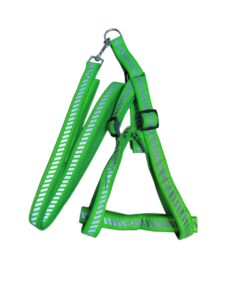 Reflective Harness Leash Set - Image 10