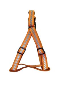 Reflective Harness Leash Set - Image 5