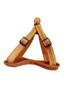 Reflective Harness Leash Set - Image 4
