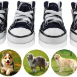 Pet Shoes
