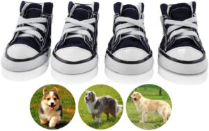 Pet Shoes