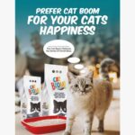 Cat Boom Cat Litter (10L)