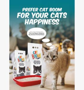 Cat Boom Cat Litter (10L)