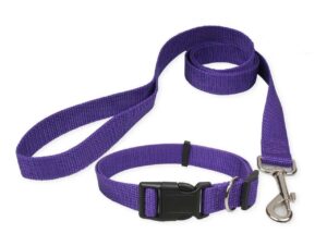 Dog Collar and Leash Set