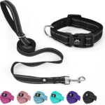 Paladin Leash & Collar